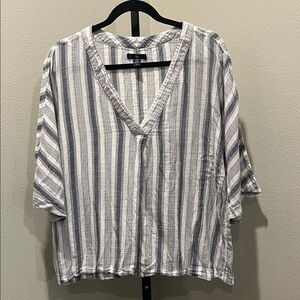 GAP Blue and White Striped V-Neck Blouse